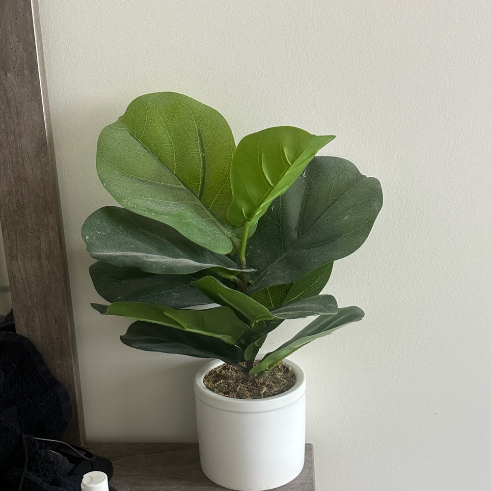 Artificial plant
